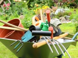 {{brizy_dc_image_alt entityId=