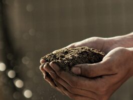bokeh photography of person carrying soil